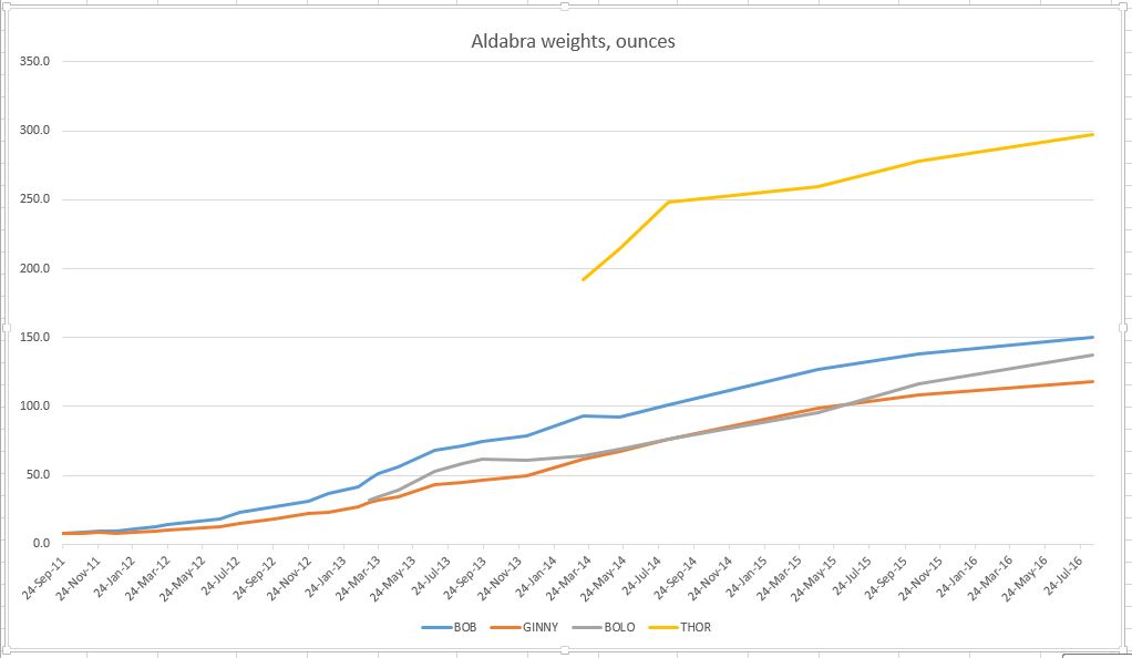 Aldabra%20Growth_zpsmizcwxth.jpg