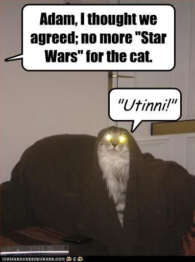 Star Wars Funny Cats. For any other Star Wars fans.
