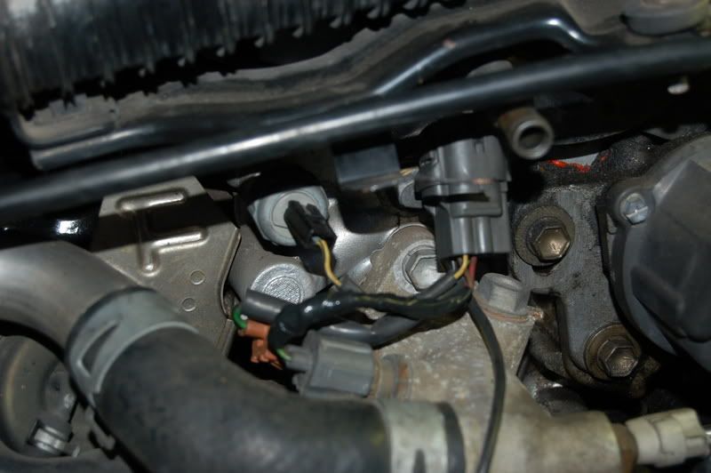 IPB Image