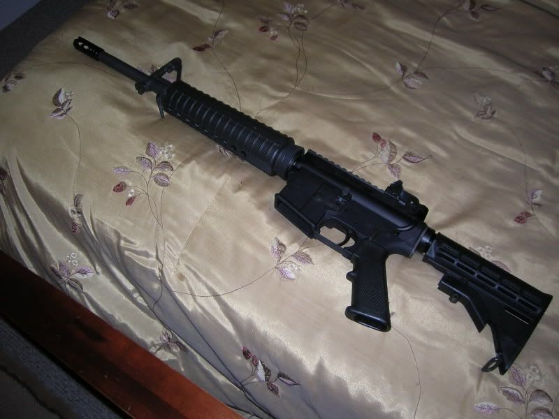 ar151.jpg