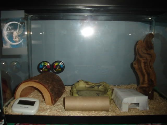 Picture007-1.jpg
