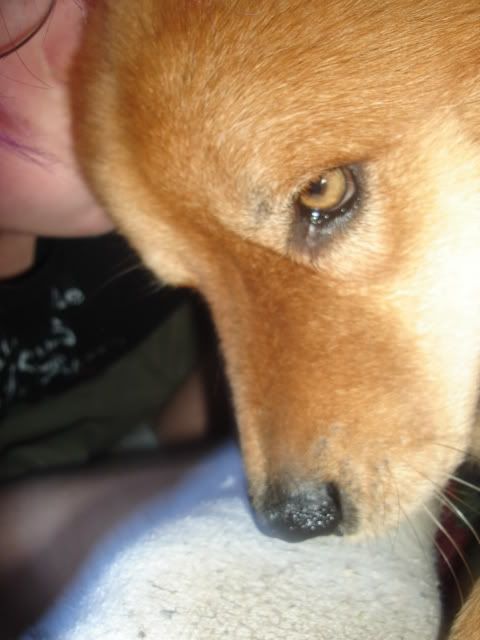 Picture502.jpg