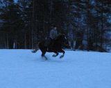 pellolla11.jpg image by halissov2