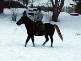 pellolla12.jpg image by halissov2