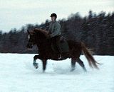 pellolla15.jpg image by halissov2