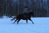 pellolla25.jpg image by halissov2