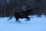 pellolla26.jpg image by halissov2