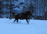 pellolla28.jpg image by halissov2