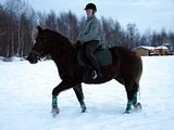 pellolla30.jpg image by halissov2