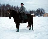 pellolla32.jpg image by halissov2