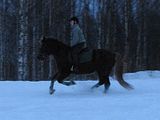 pellolla33.jpg image by halissov2