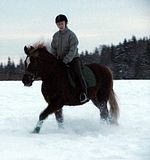 pellolla34.jpg image by halissov2