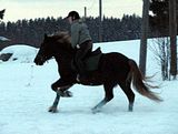 pellolla35.jpg image by halissov2