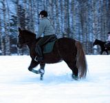 pellolla36.jpg image by halissov2