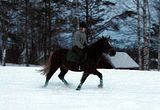 pellolla38.jpg image by halissov2