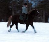 pellolla4.jpg image by halissov2