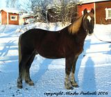 halispose3.jpg image by halissov2