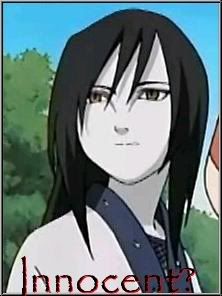 12313-20060103055400