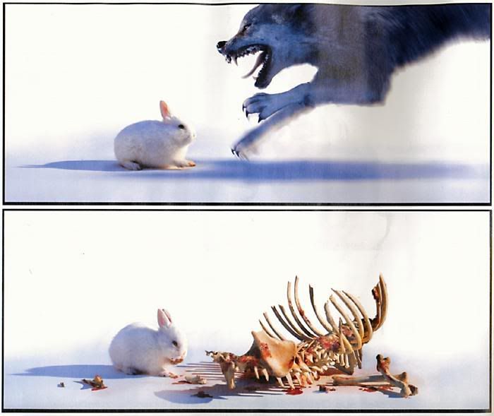 humour_animal_036.jpg