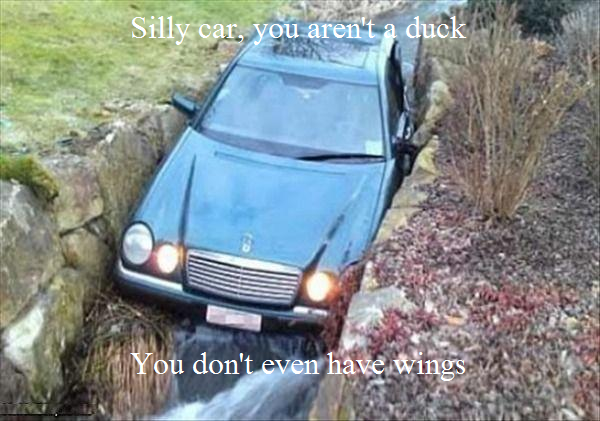 sillycar.png