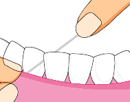 Flossing Pictures, Images and Photos