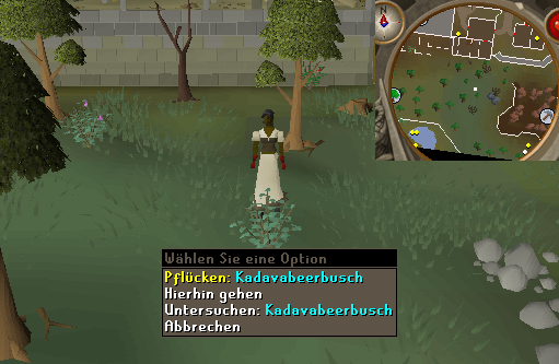 Eingefügtes Bild