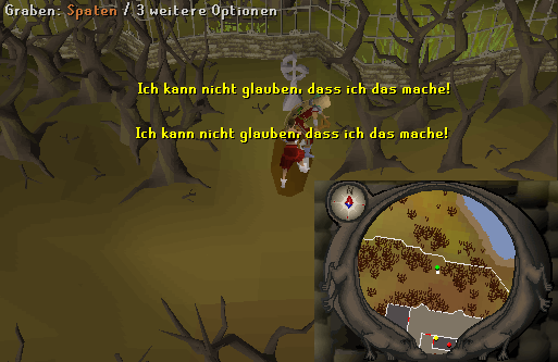Eingefügtes Bild