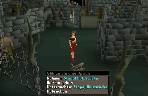 Eingefügtes Bild
