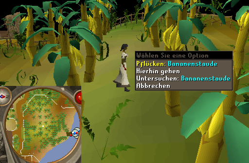 Eingefügtes Bild