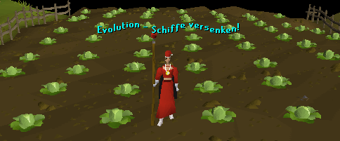 Eingefügtes Bild