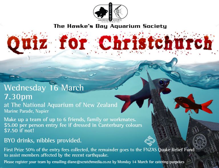 Quiz-for-Christchurch.jpg