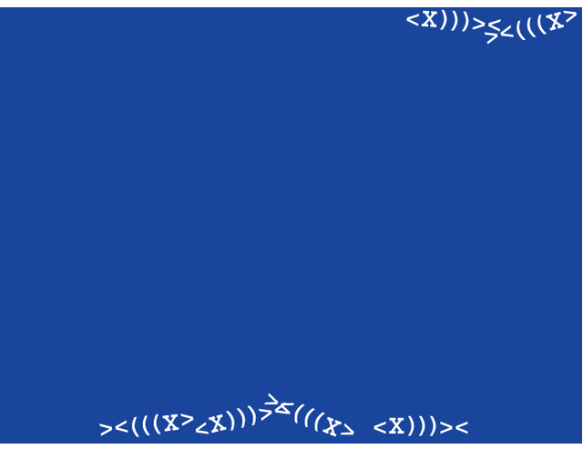 blue-screen-01.png