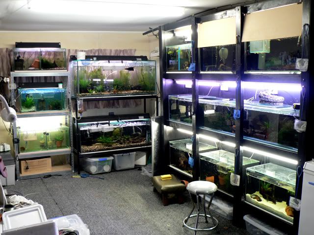 coleman-fish-room.jpg