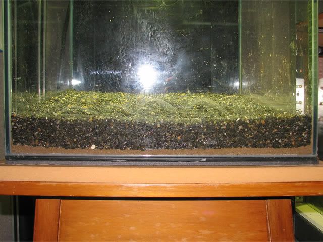 front-substrate.jpg