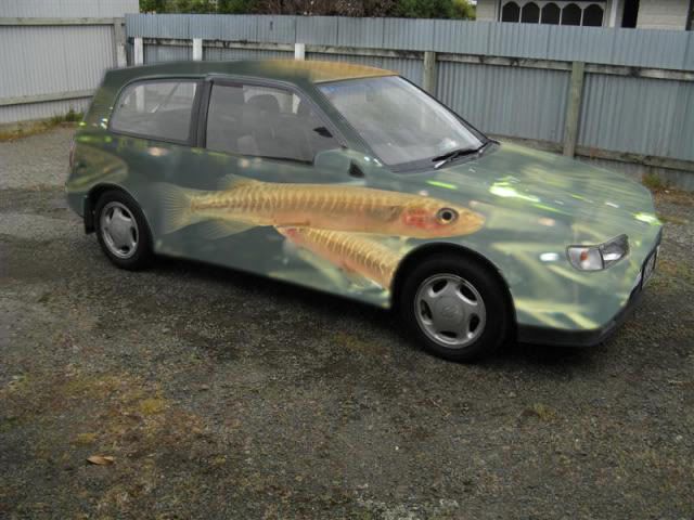 kokopu-car.jpg