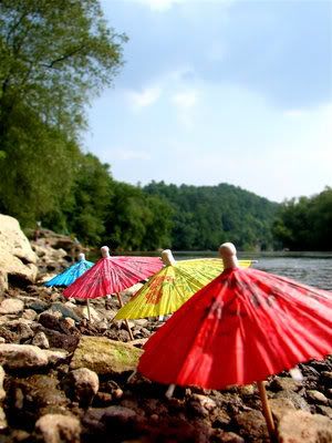 z45755167.jpg umbrellas at beach image by LetsRunAway13
