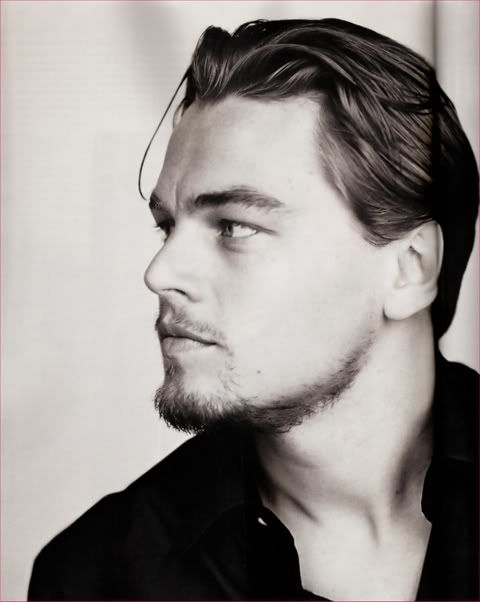 leonardo dicaprio. hitter Leonardo DiCaprio