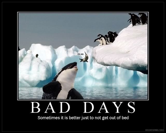 Bad Day? Pictures, Images and Photos