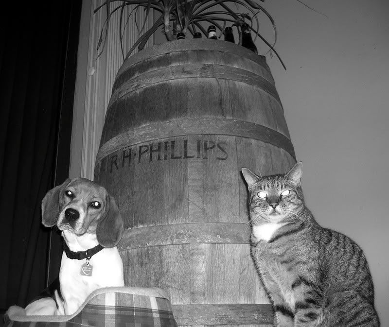 IMAGE: http://i36.photobucket.com/albums/e18/cmgarcia22/penandfibs2.jpg