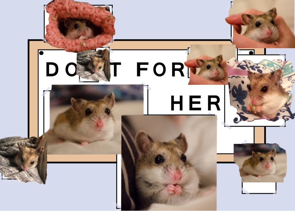do%20it%20for%20her%20meme_zpsnuf6kw72.j