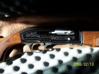 Beretta A303