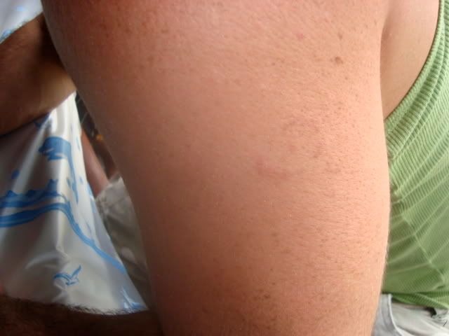 DSC00428.jpg
