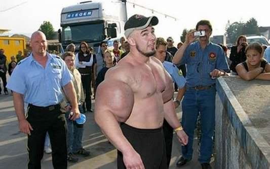 mw533mh0w0h0synthol1.jpg