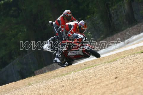 [Image: 251043copy.jpg]