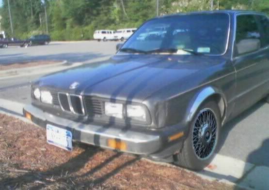 [Image: ATT748675.jpg]