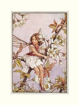 flower fairy Pictures, Images and Photos