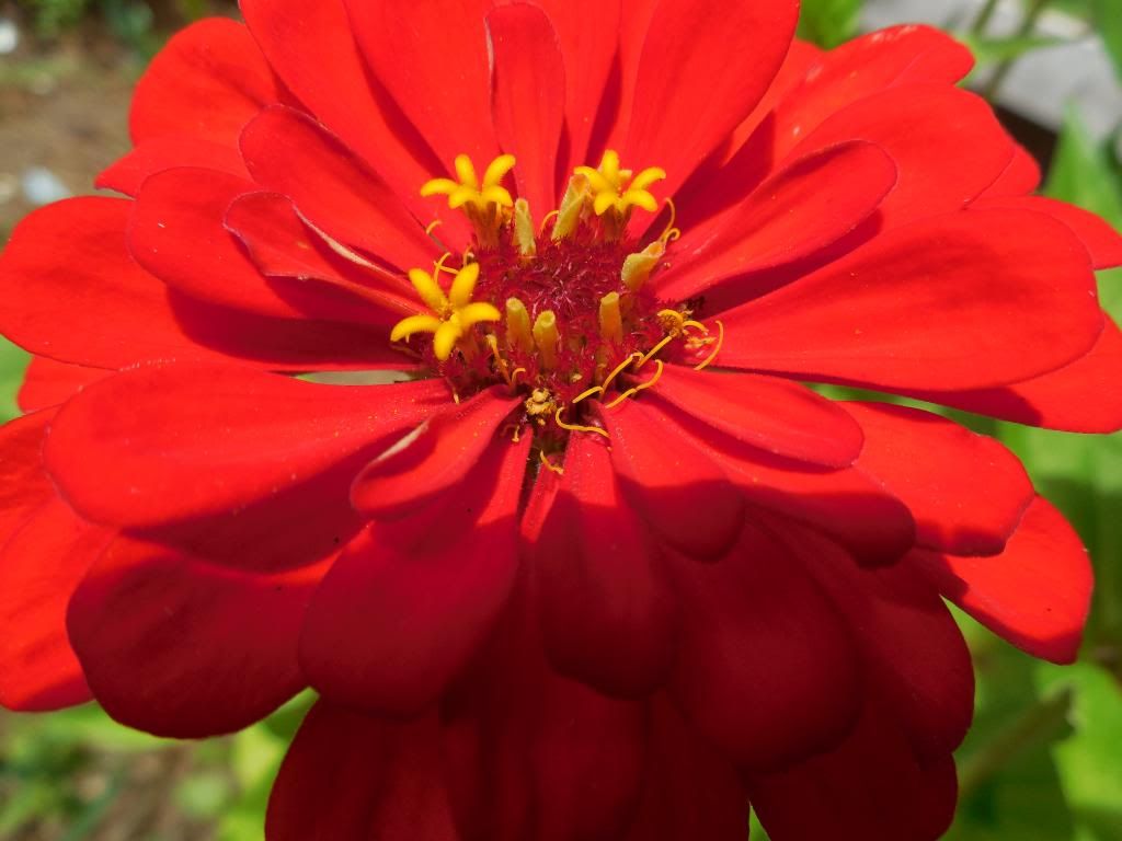  photo DSCN0235_zps49a08dc0.jpg