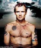 flea Pictures, Images and Photos