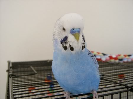 Bobbylovesthecamera002.jpg