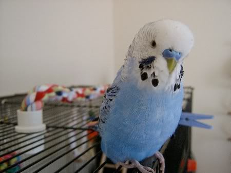 Bobbylovesthecamera003.jpg